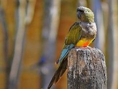 149 BIO PARC DE DOUE LA FONTAINE 5- 2016_000008